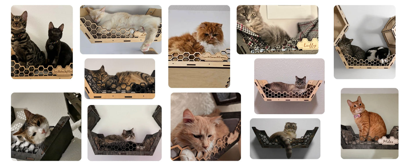 hexagon cat wall bed