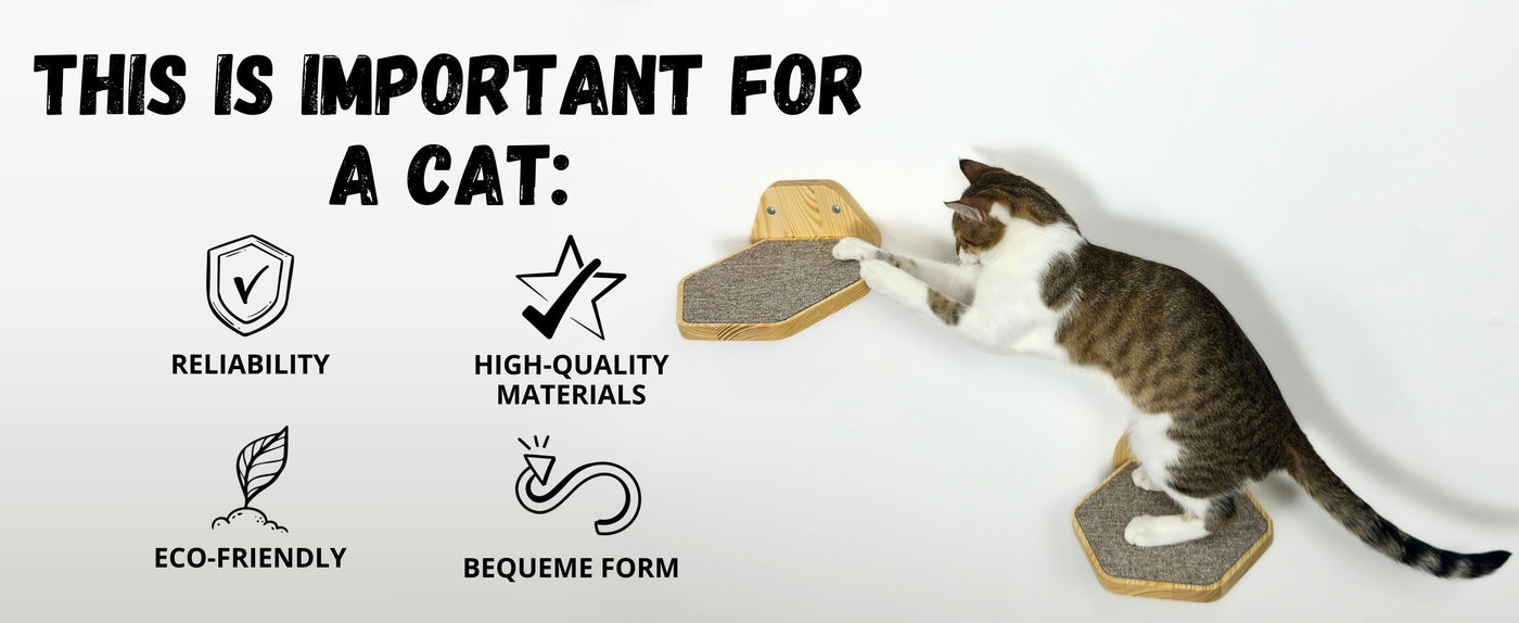 cat wall steps