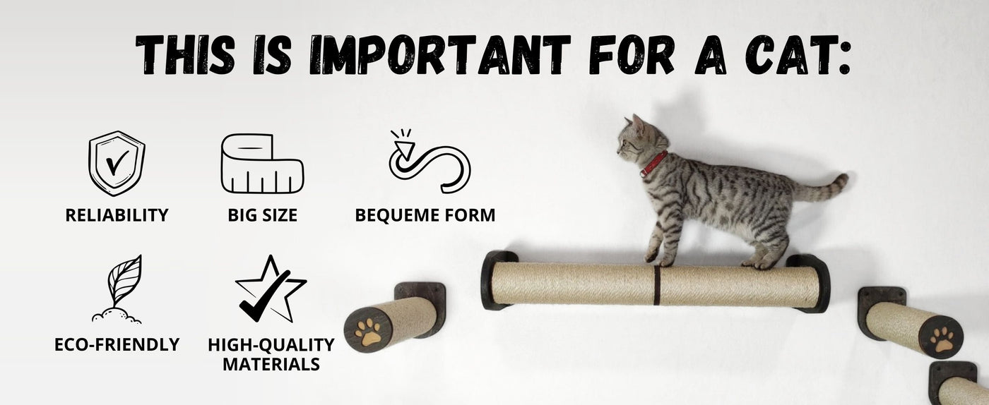 Cat on a scratching post with icons and text highlighting features important for a cat.