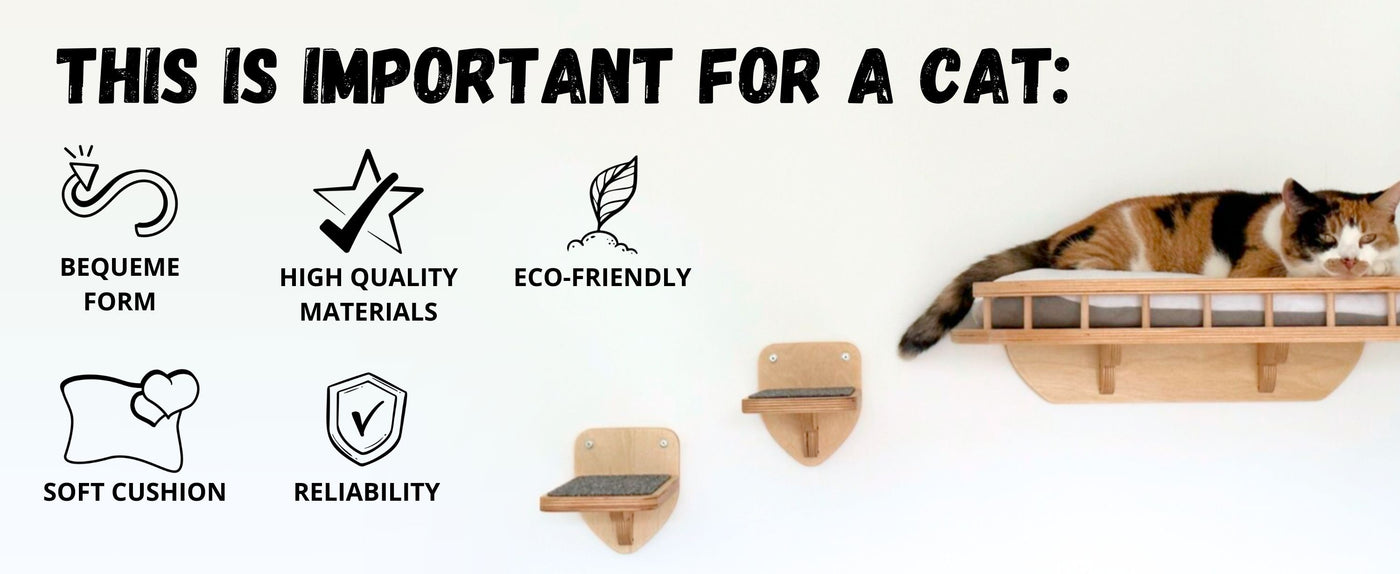 cat climbing shelves