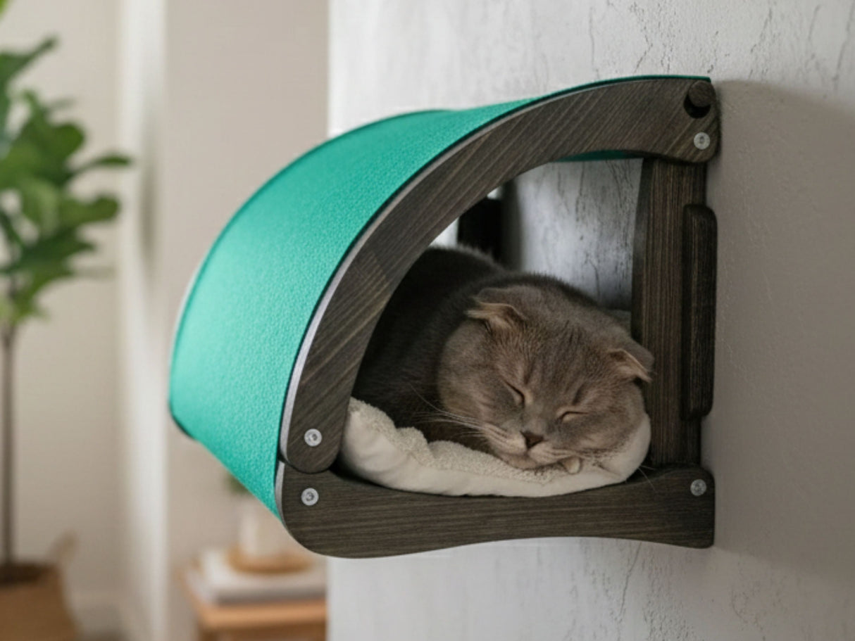 Cat resting in a green and brown wall-mounted pet bed.