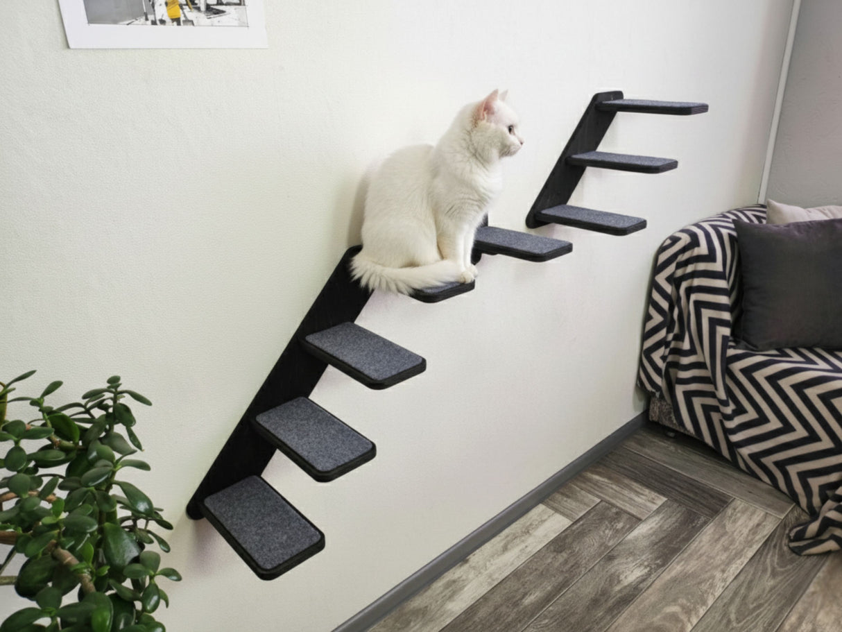 White cat sitting on a set of black cat stairs against a white wall.