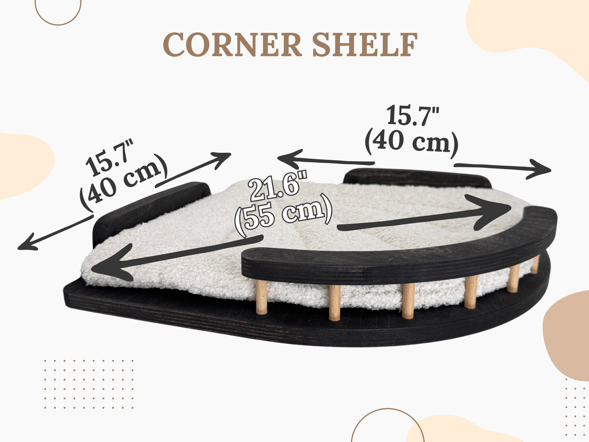 cat climbing shelves