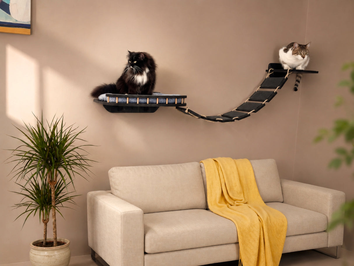 Two cats on a cat shelf above a beige sofa with a yellow blanket