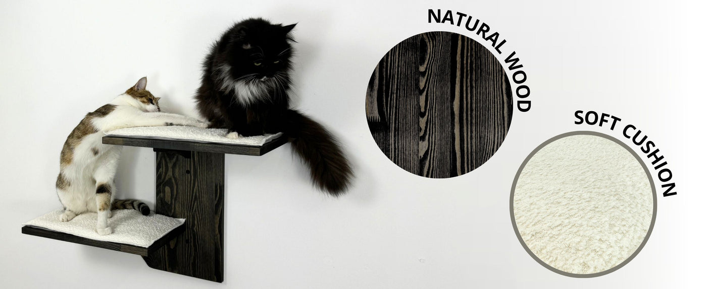 cat shelves wall