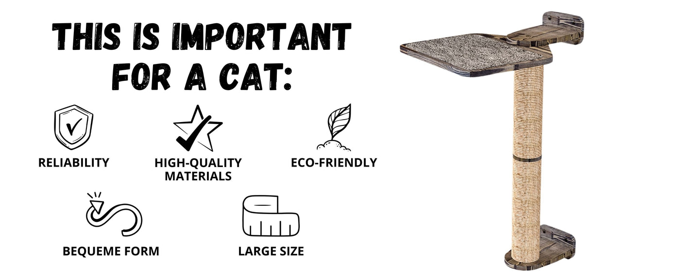 cat bed and scratching post