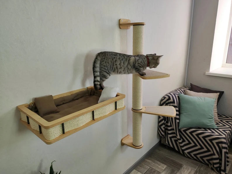 cat wall climbing shelves