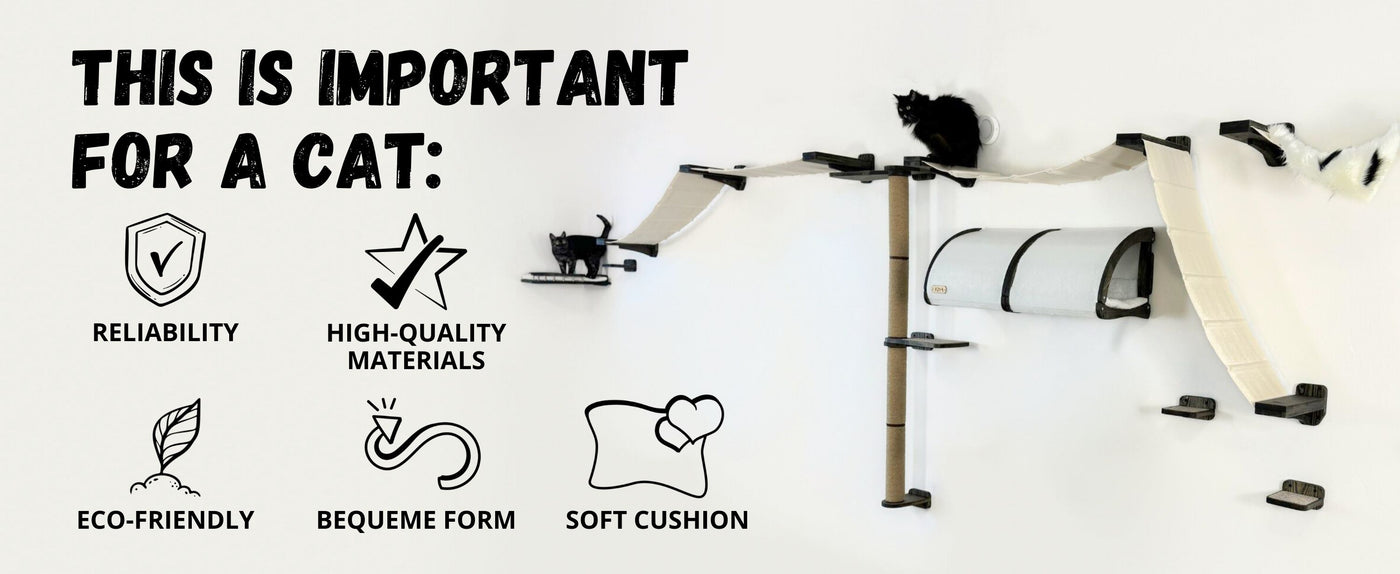 cat climbing wall