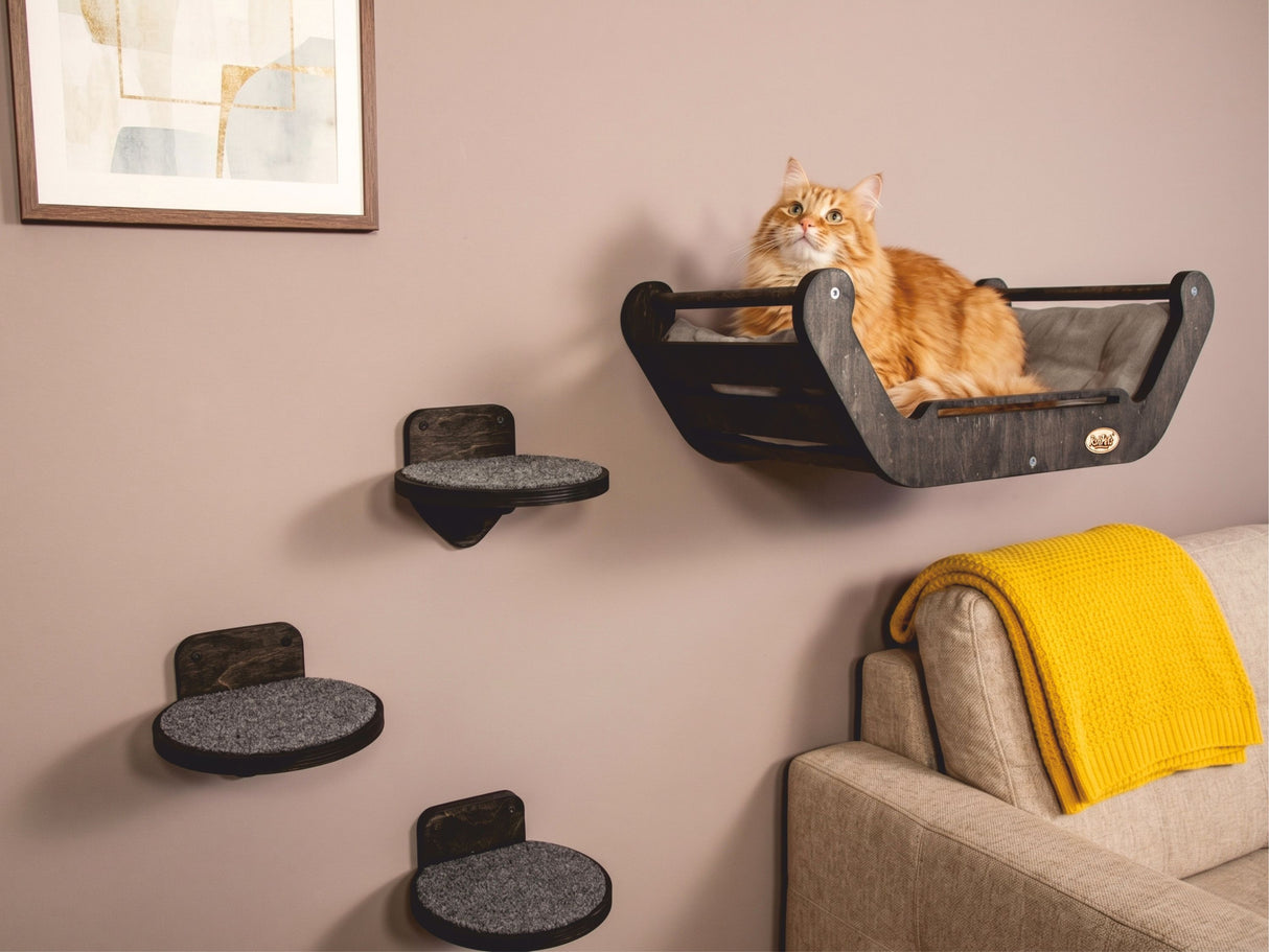 Cat sitting on a wall-mounted cat shelf with additional shelves below in a living room setting.