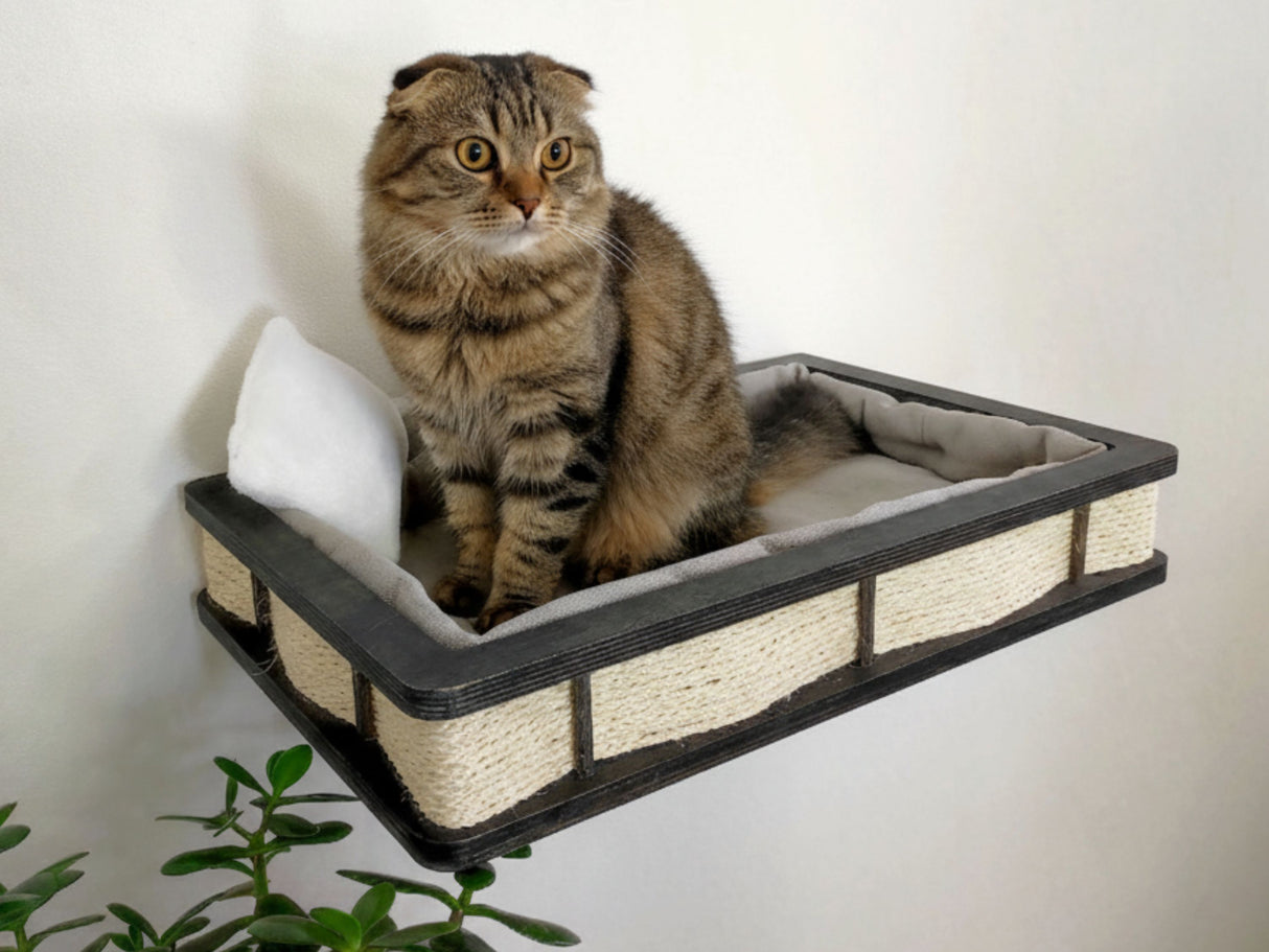Cat sitting on a wall-mounted cat bed with a white background