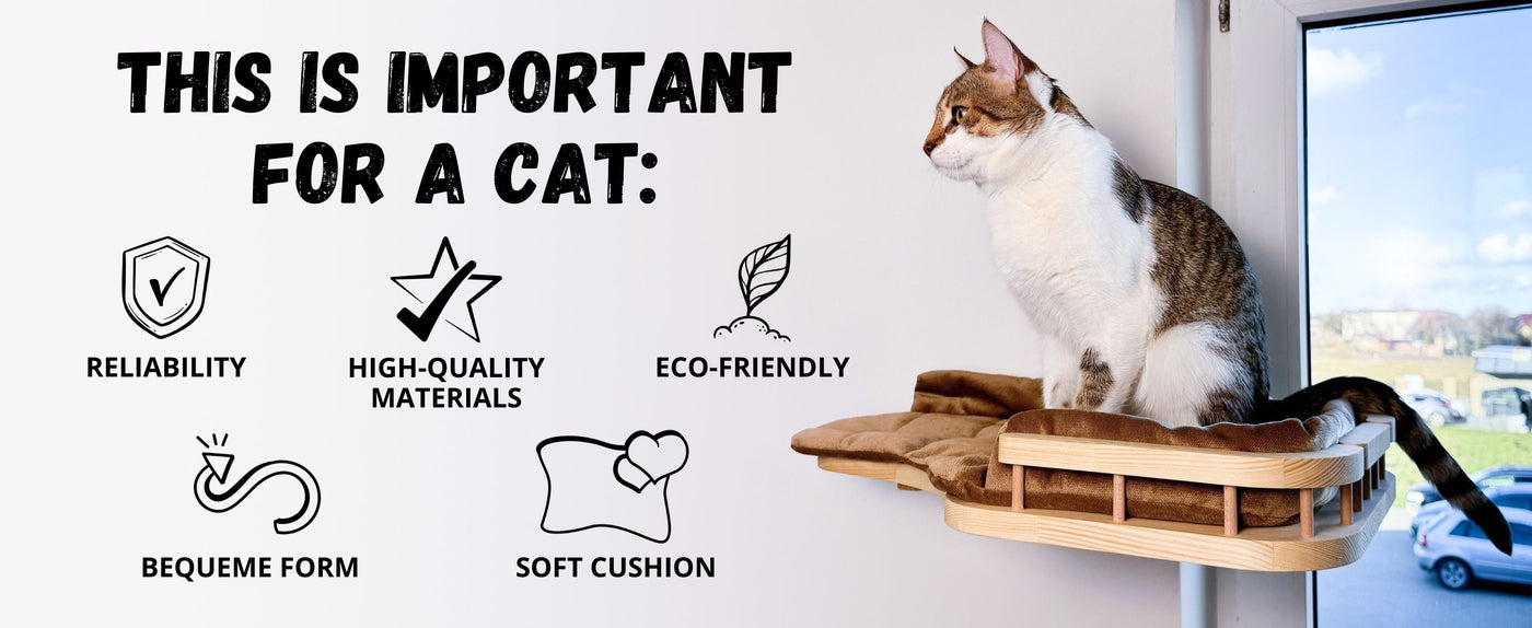 cat wall shelves