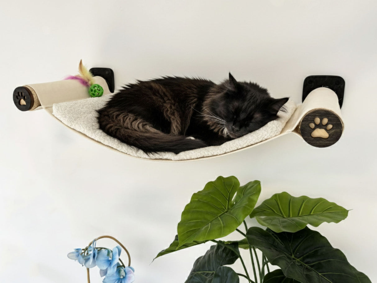 Cat resting on a cat wall hammock with a white background and plant in the corner