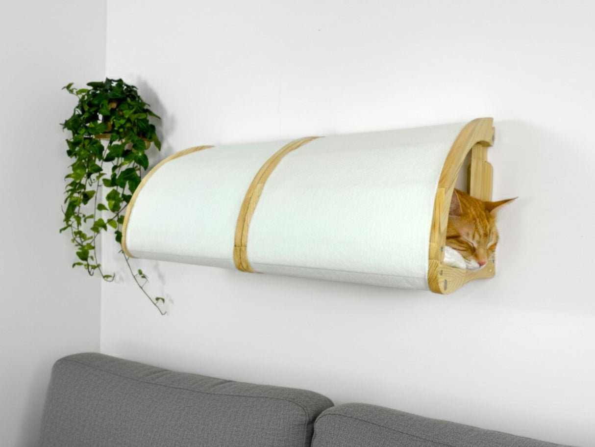 Cat wall shelf attached to a white wall with a cat peeking out, next to a gray sofa and green plant.
