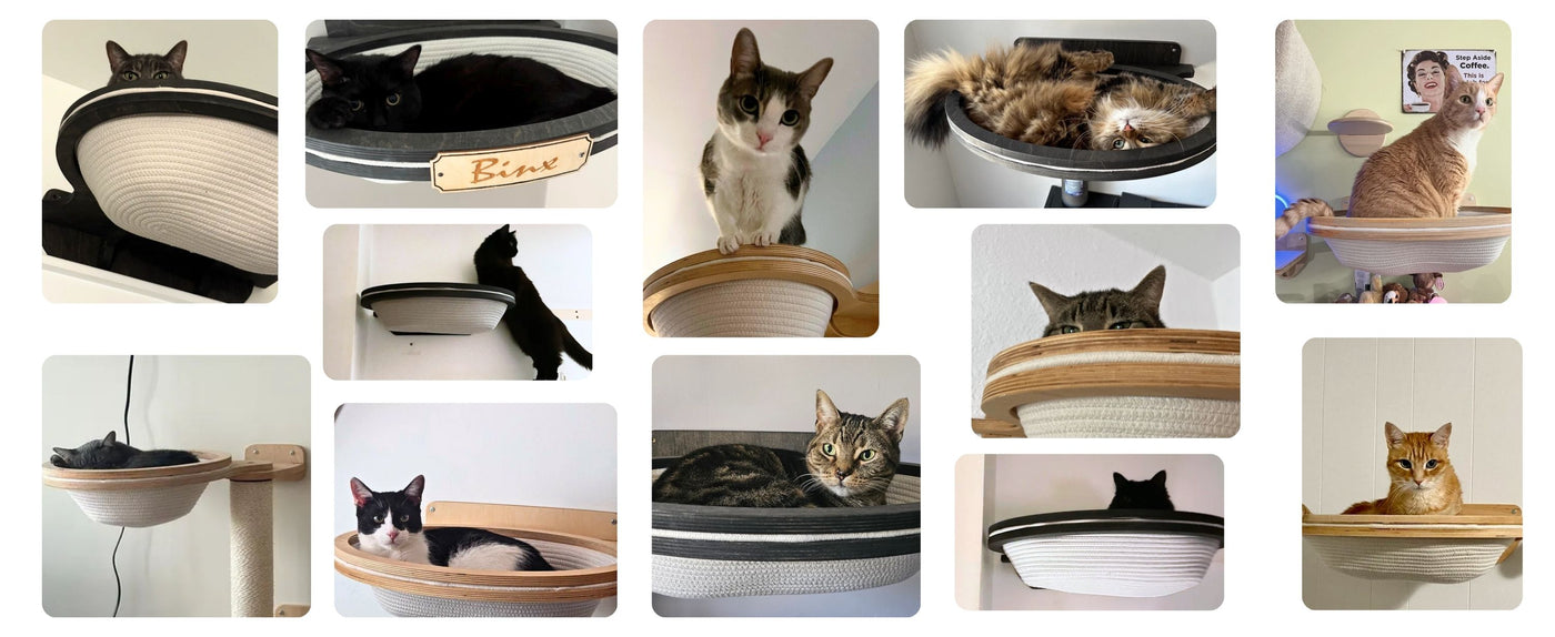 review collage cat wall scratching post with cotton bed