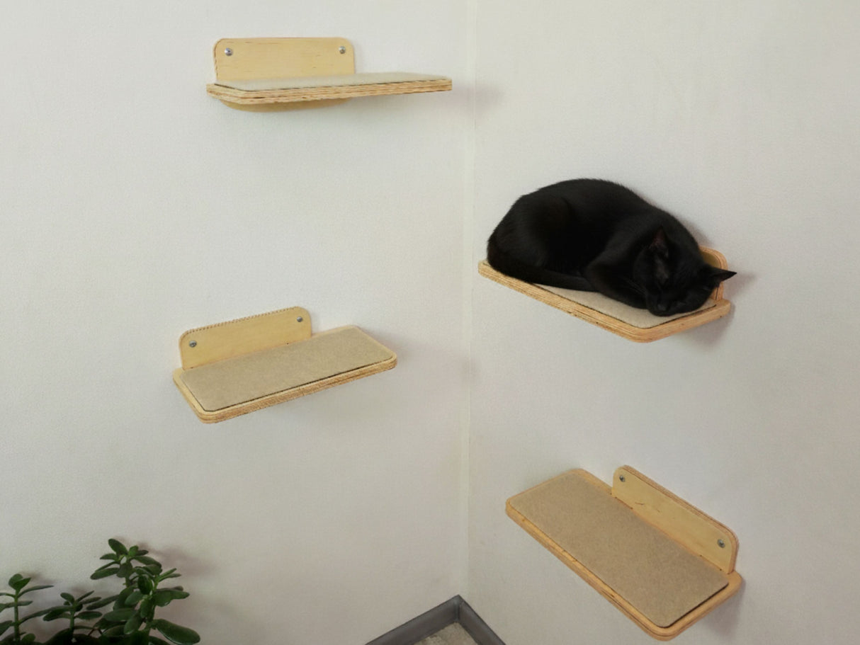 Wooden cat shelves on a white wall with a black cat resting on one of them.