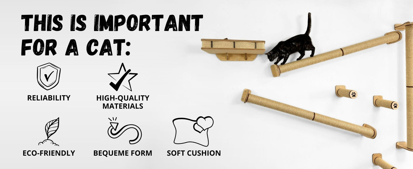 Cat play structure with features highlighted on a white background