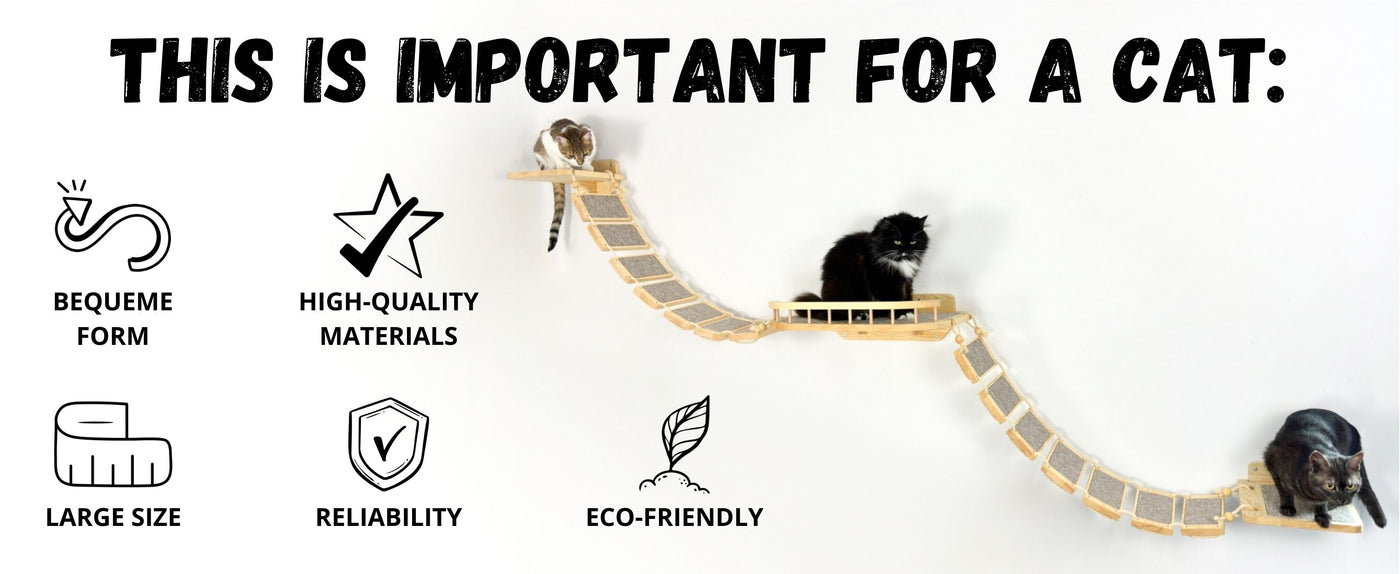 cat bridge