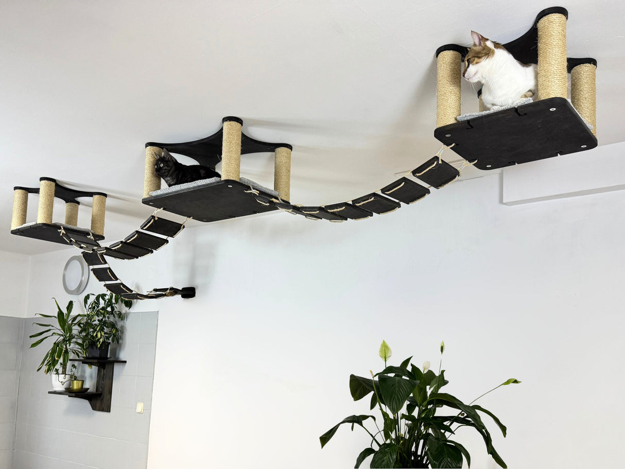 Ceiling Cat Playground with Bridges & Shelves