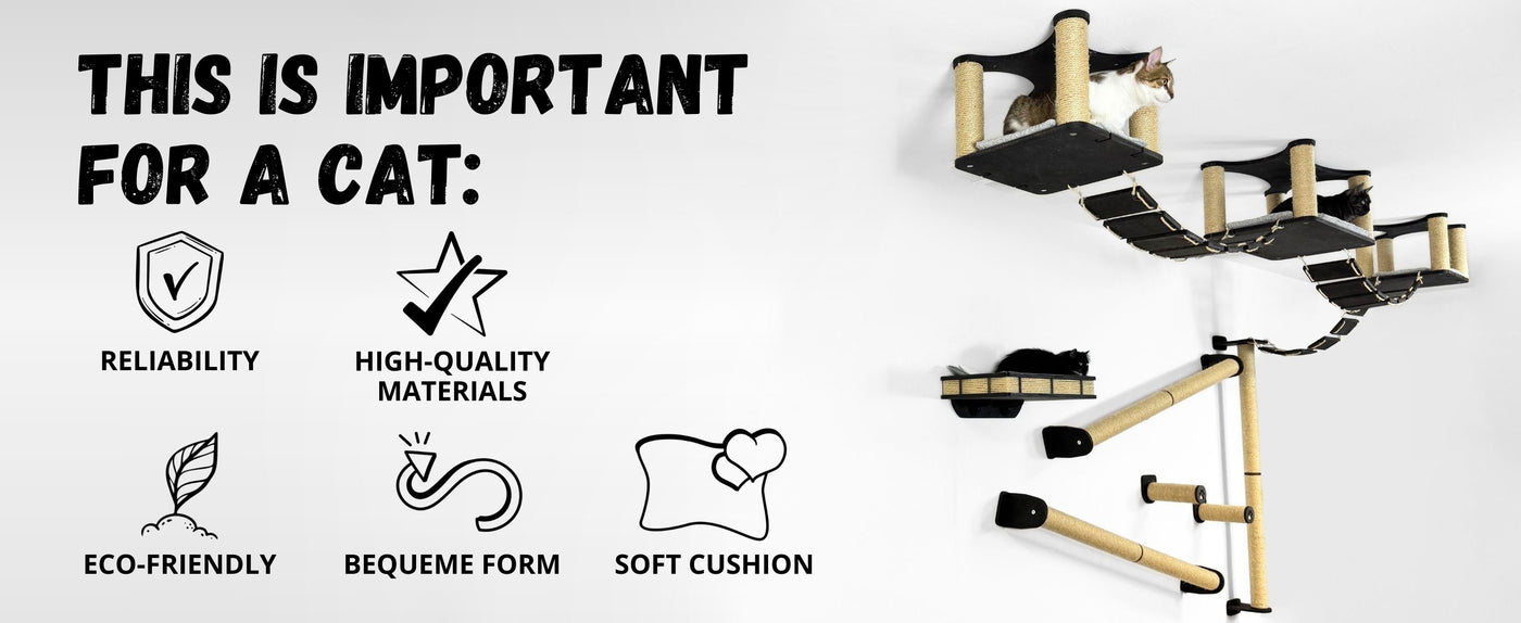 Cat climbing shelf with features listed on a white background