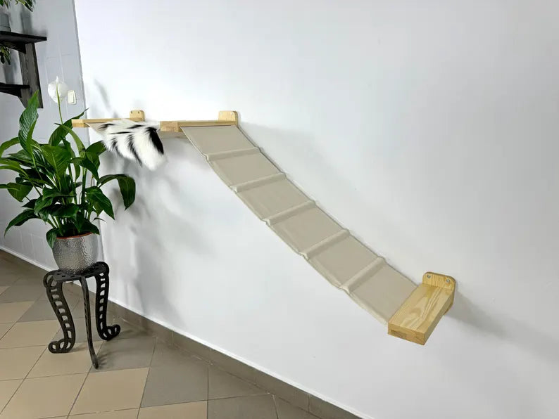 shelves for cat