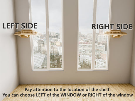 Window cat shelf on the right side of the window and on the left side