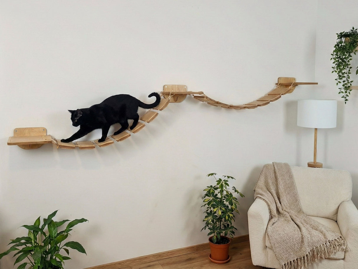 Black cat on a wooden cat shelf in a living room with a beige armchair and plants.