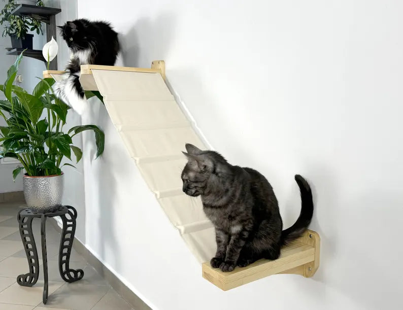 cat wall climbing shelves