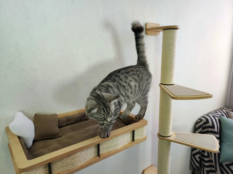 cat tree wall shelves