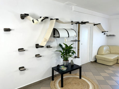 cat wall shelves