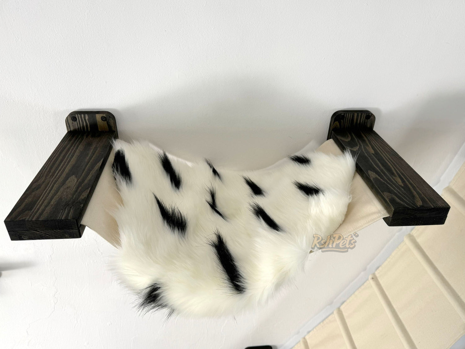 cat hammocks