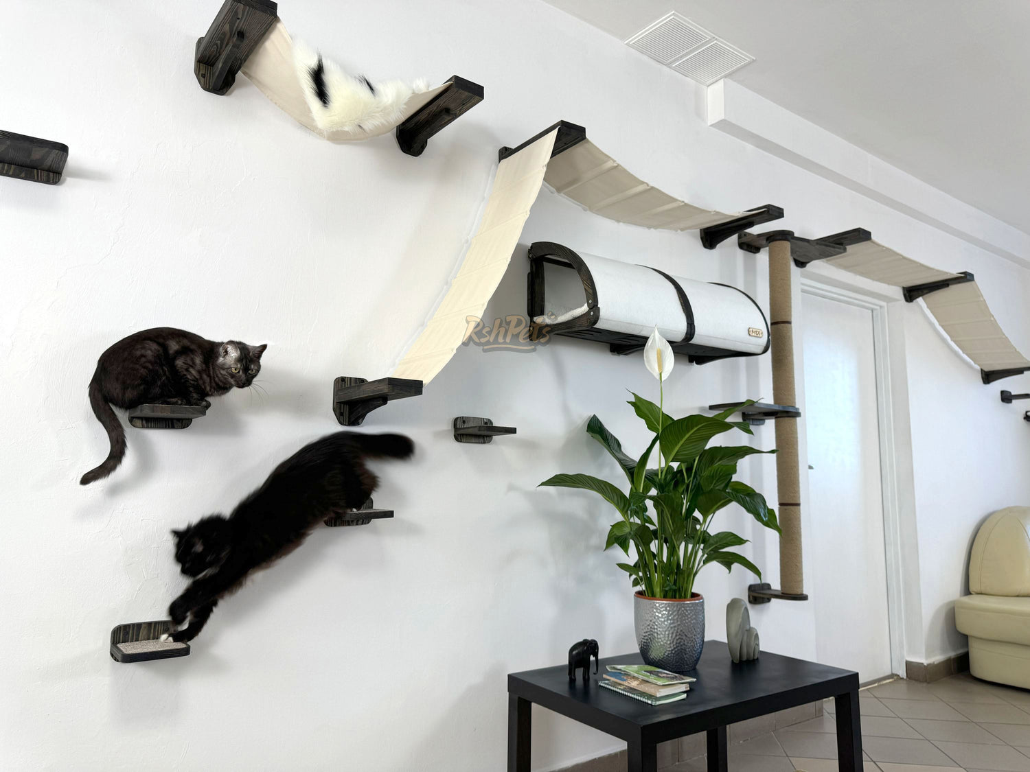 cat wall furniture
