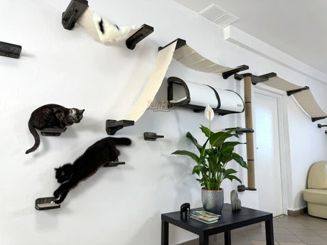 cat wall furniture