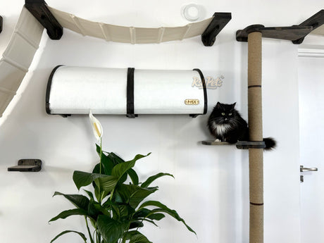 Cat tunel bed, cat wall bridge, cat wall scratching post