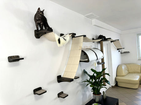 cat wall climbing systems