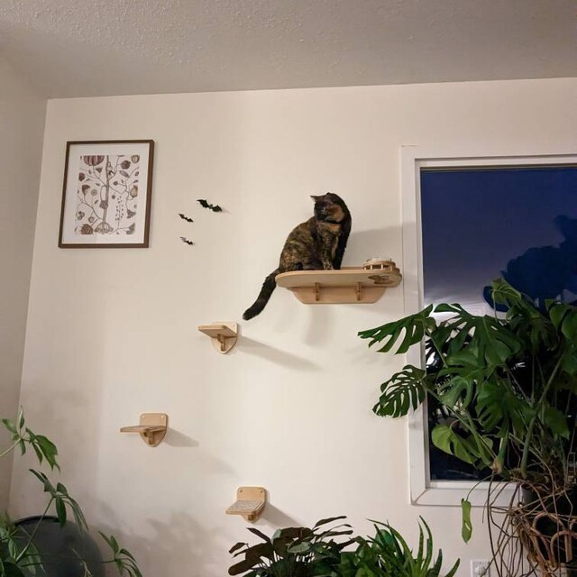 Wall-Mounted Cat Feeder Shelf with Two Bowls – Birch Plywood, Light color & Right Bowl Position