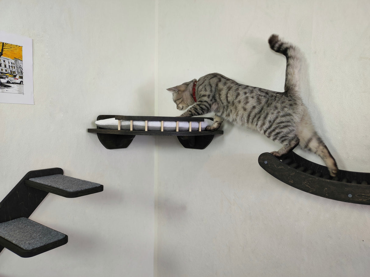 Wall-Mounted Cat Play Set – Climbing Steps & Lounge Shelf