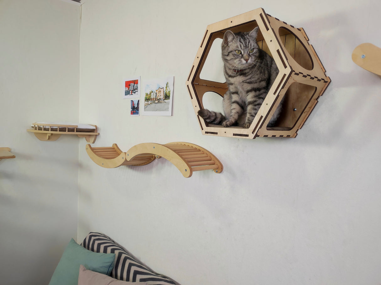 Cat wall shelves with climbing steps and corner perch