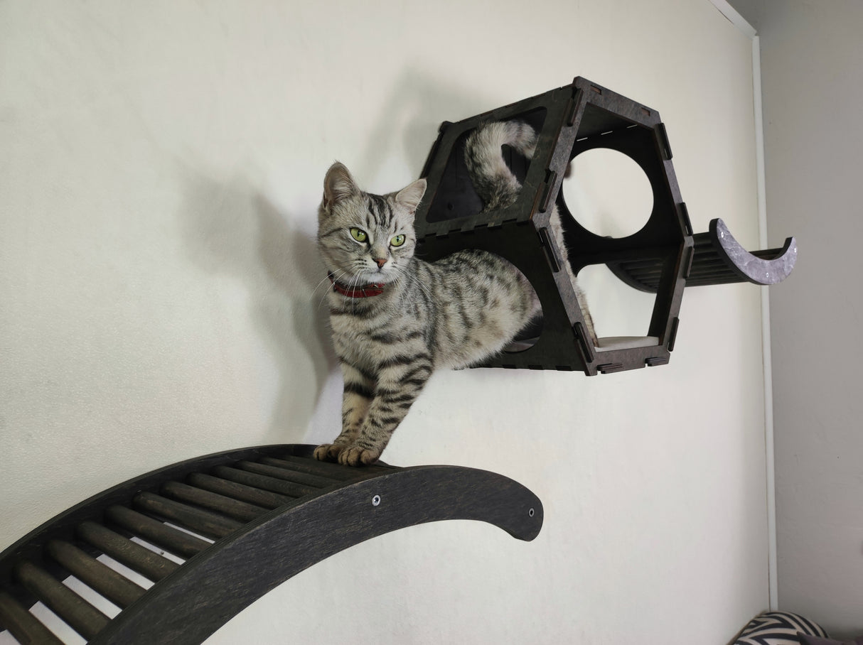 Cat activity center with hexagon and corner platforms