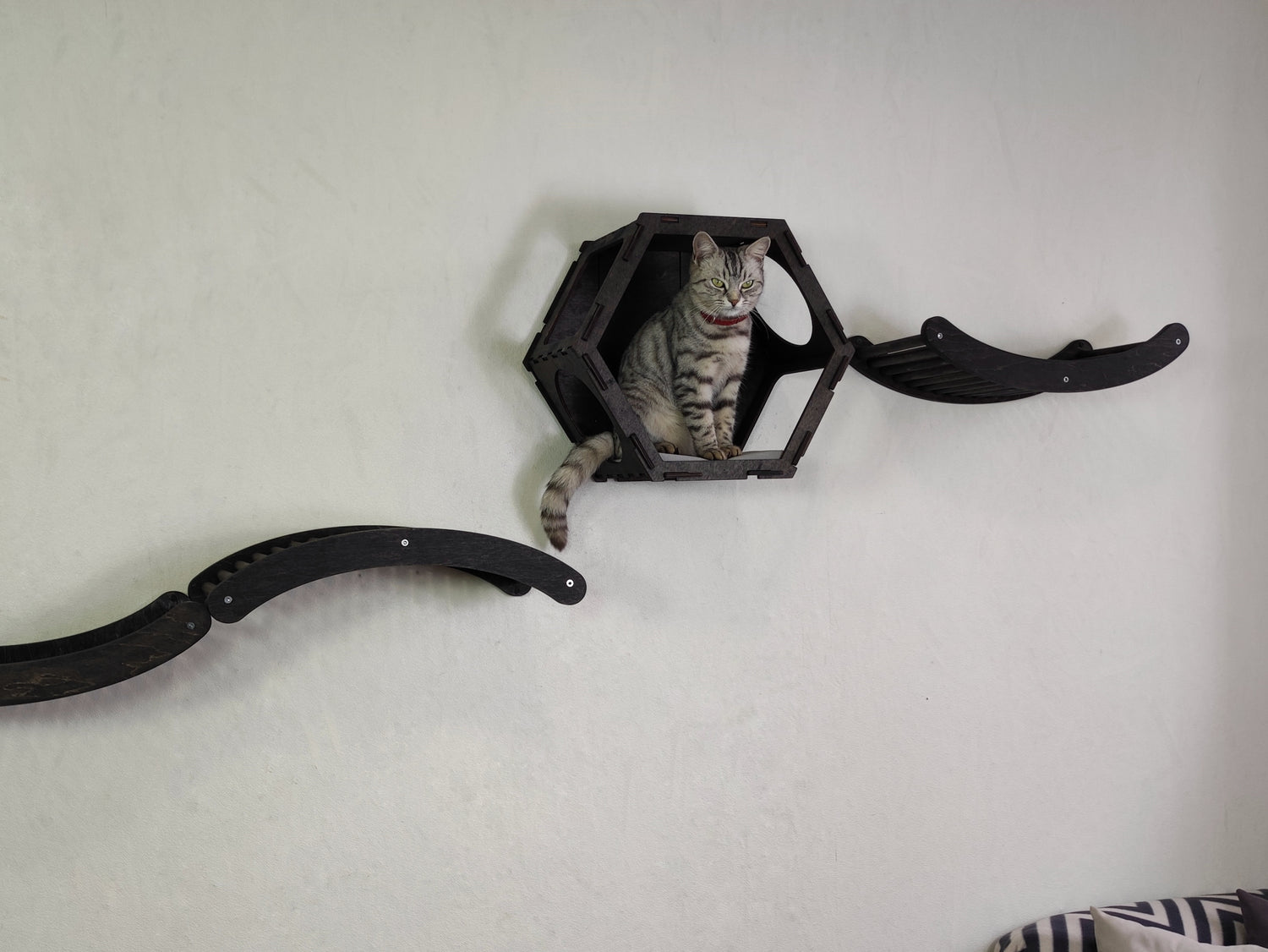 Wall-mounted cat furniture for climbing and lounging