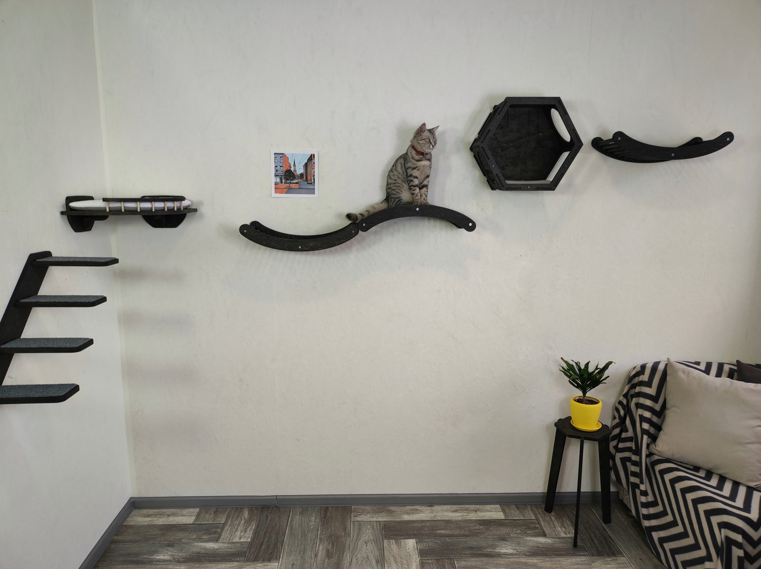 Large set of the wall shelves for cat