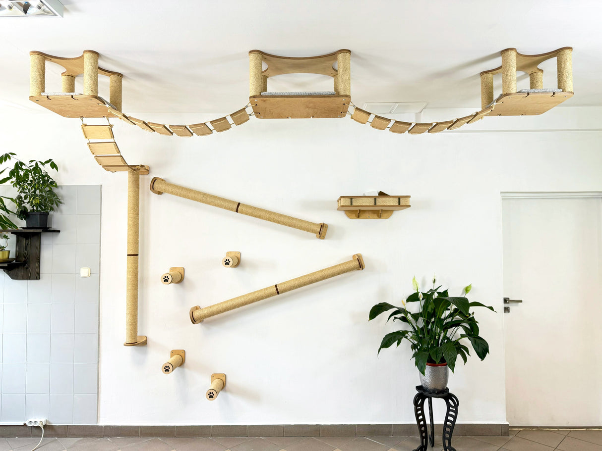 Luxury Cat Wall & Ceiling Complex