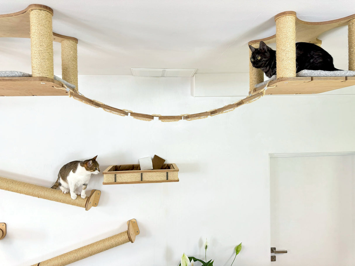 cat wall furniture
