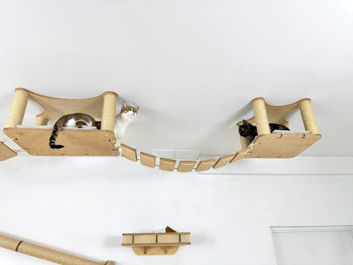 cat playground