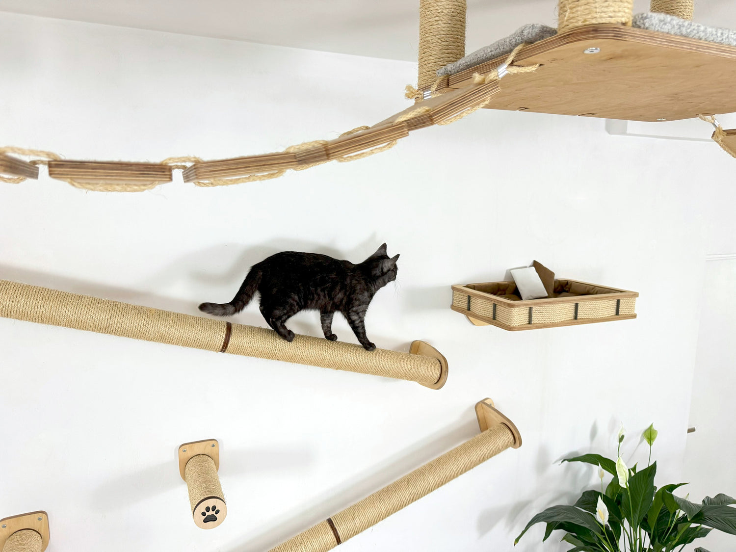 wall mounted cat shelves