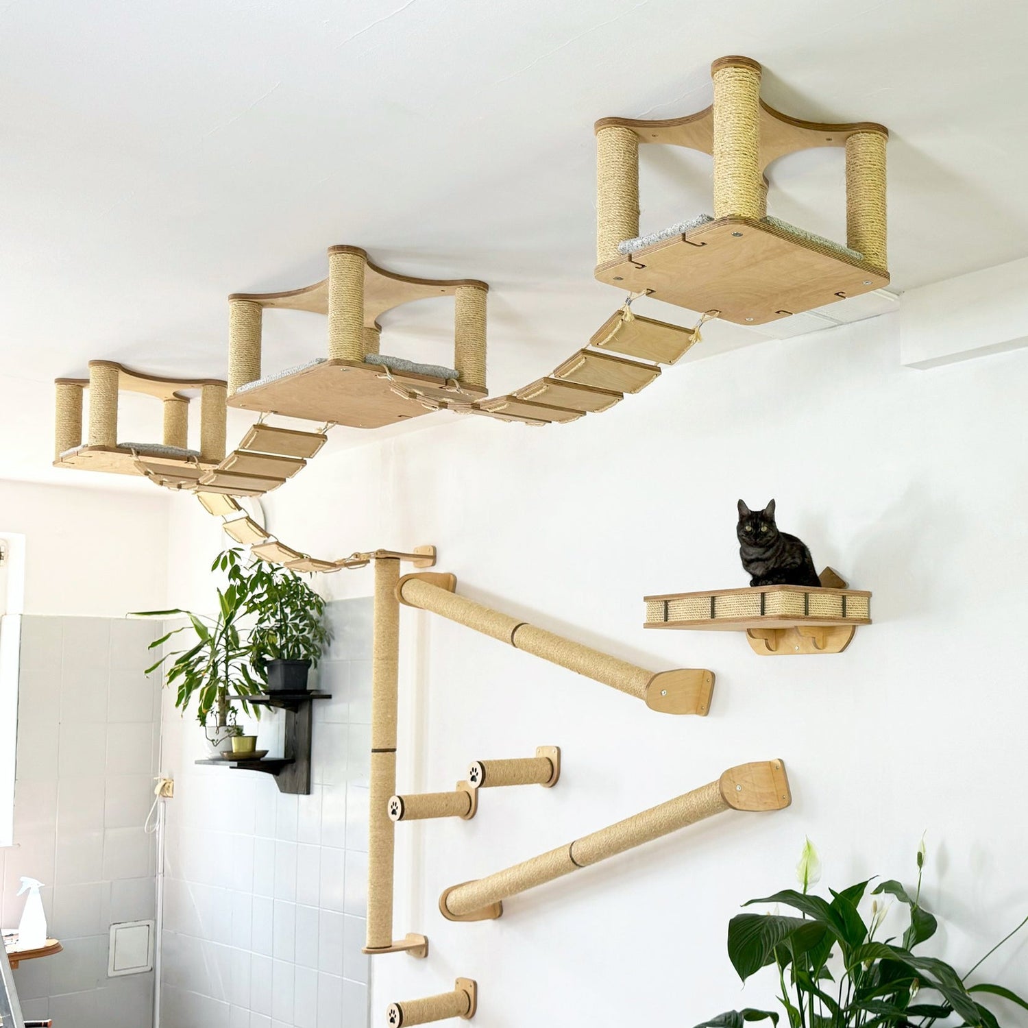Ultimate Cat Climbing System