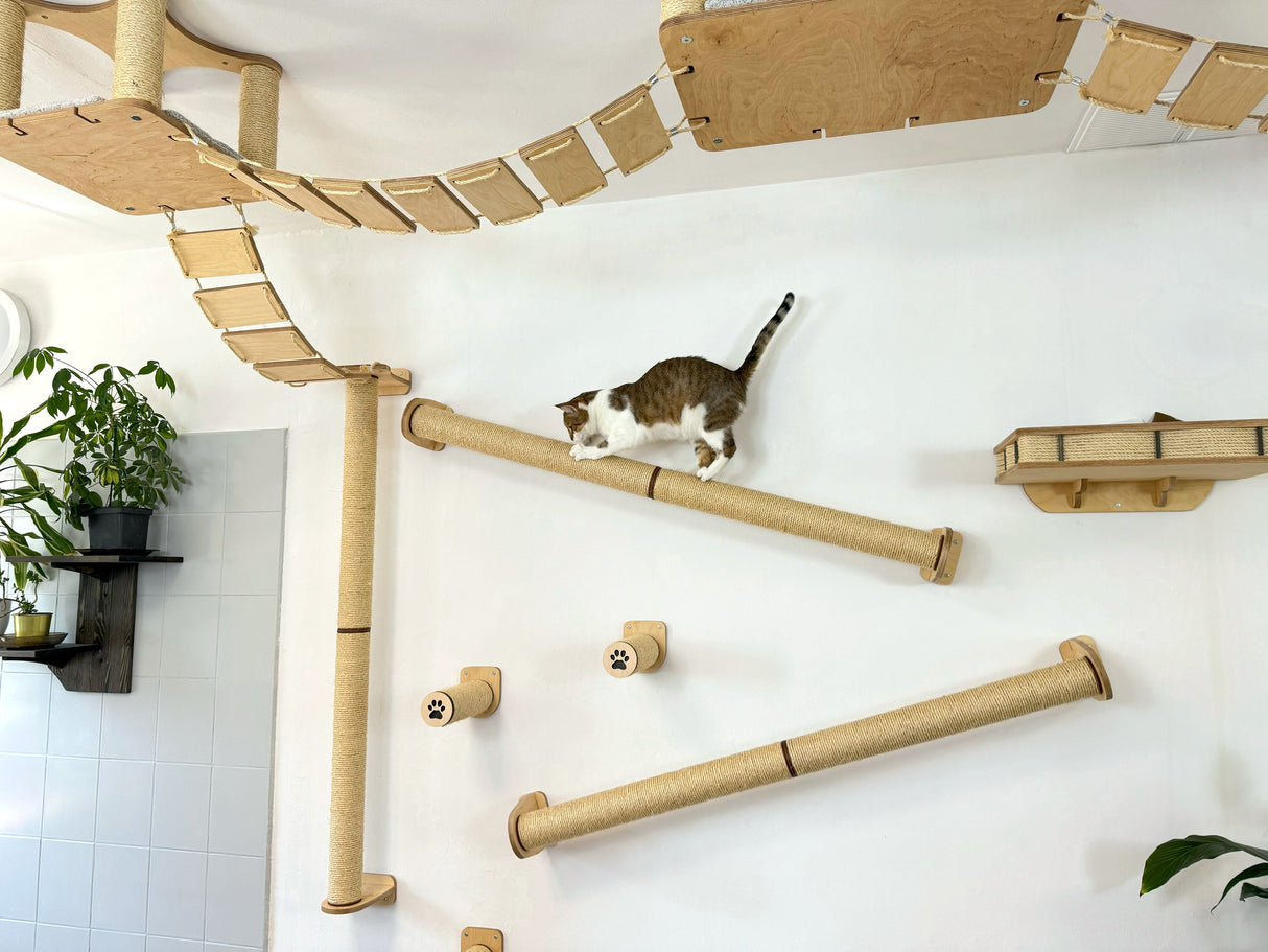 Modern Wood & Sisal Cat Furniture