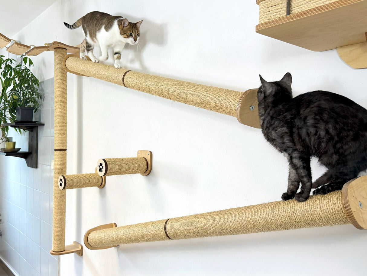 scratching wall for cats
