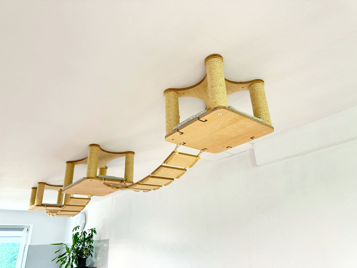 Modern Cat Wall & Ceiling Furniture