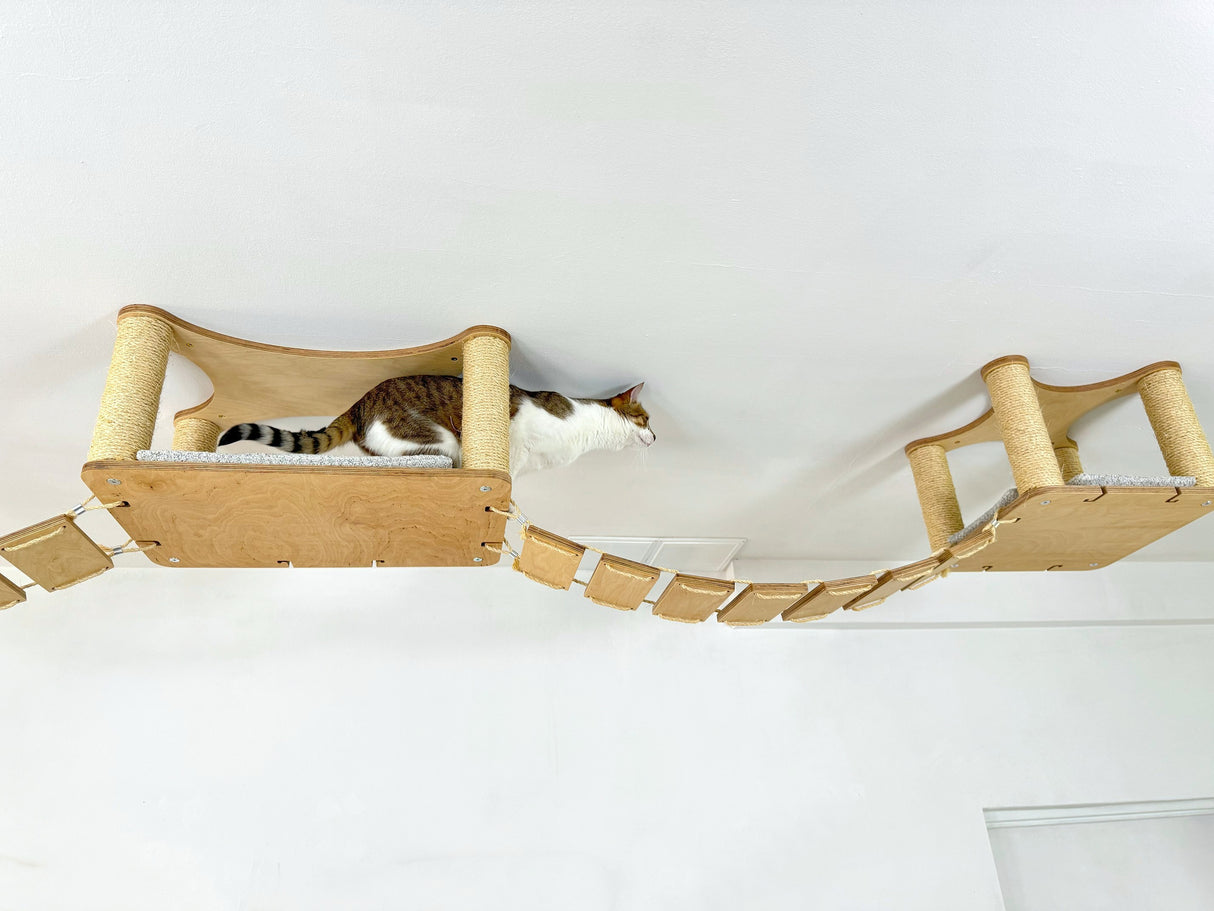 Elevated Cat Perches