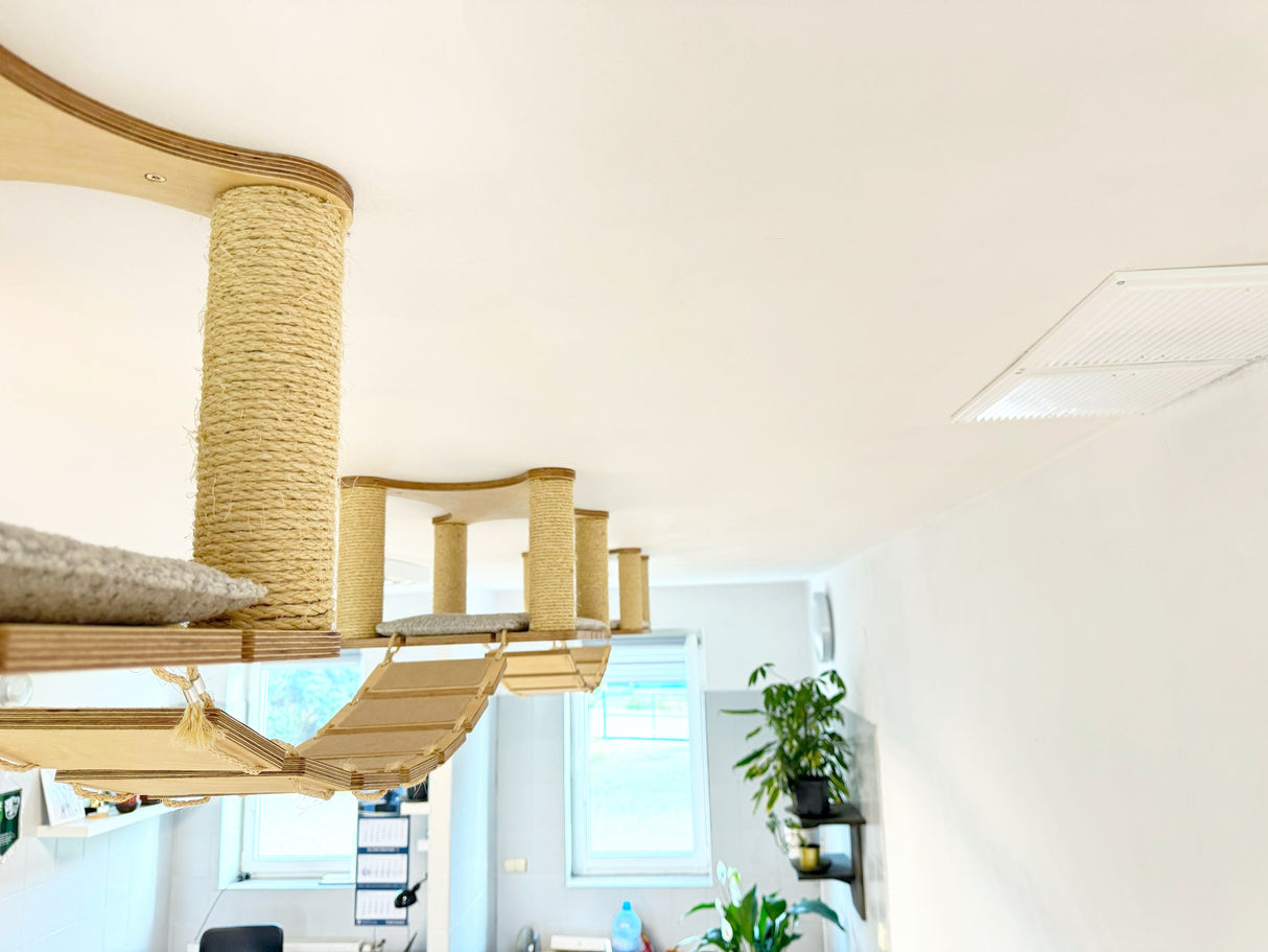 stylish cat scratching post